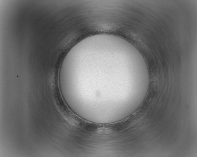 X0000073970591200609051847