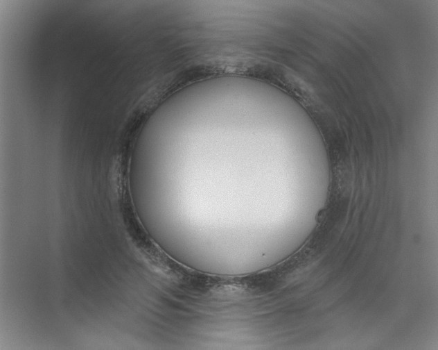 X0000073970594200609051847