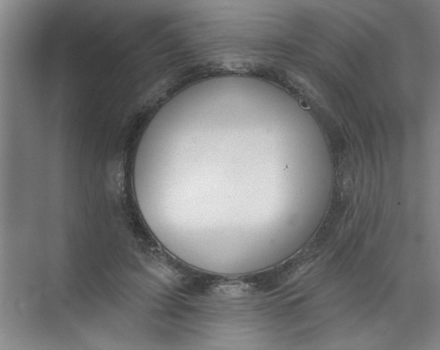 X0000073970595200609051847