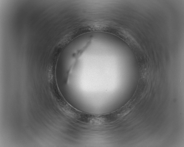 X0000073970599200609051847