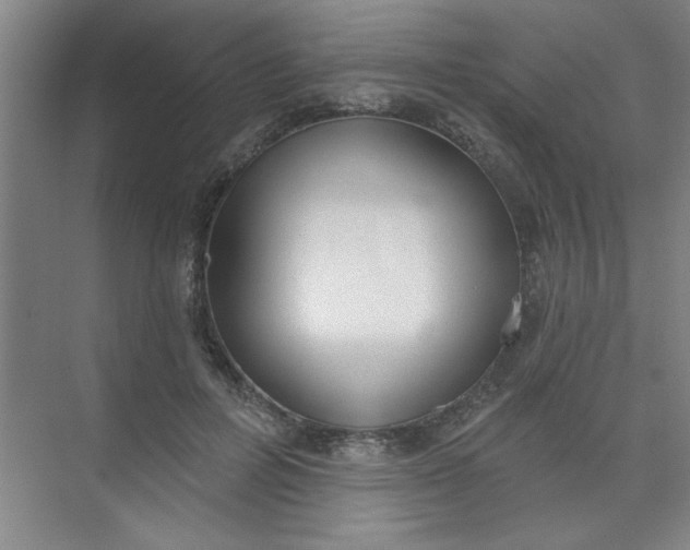 X0000073970600200609051847