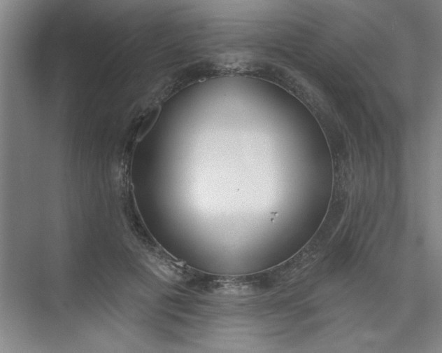 X0000073970601200609051847