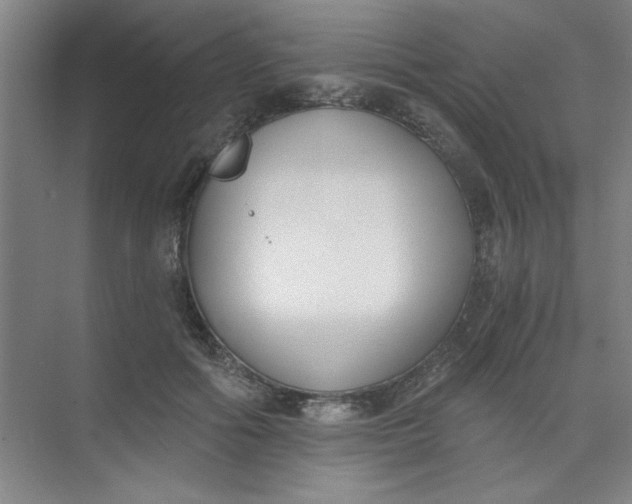 X0000073970602200609051847