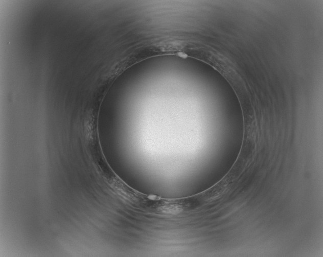 X0000073970604200609051847