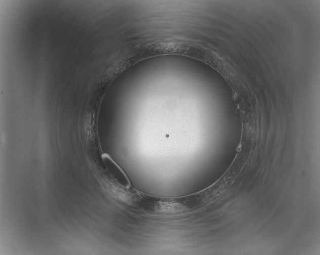 X0000073970605200609051847