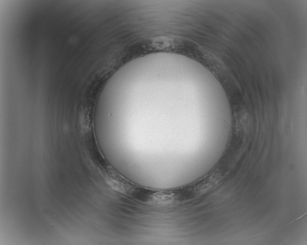 X0000073970606200609051847