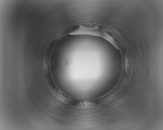 X0000073970607200609051847