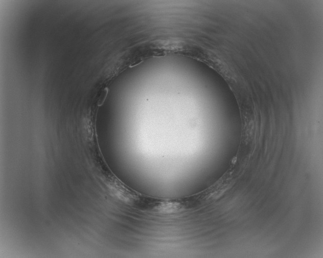 X0000073970609200609051847