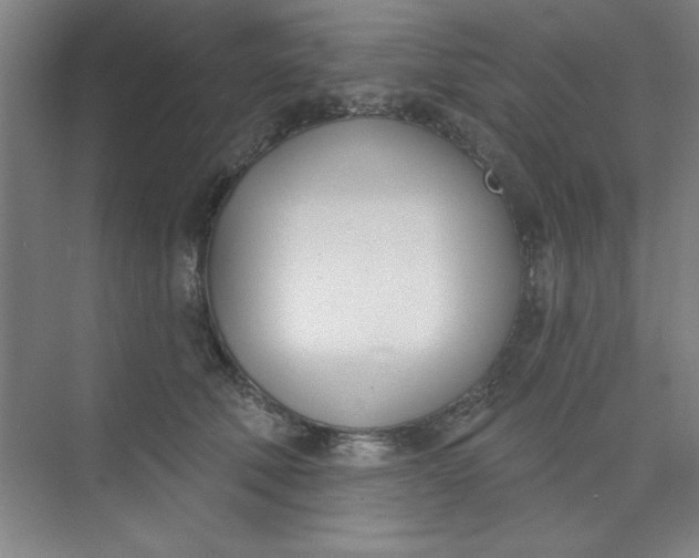 X0000073970610200609051847