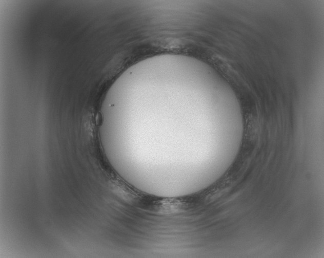 X0000073970612200609051847