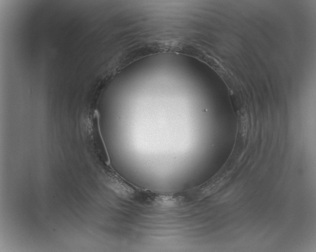 X0000073970613200609051847