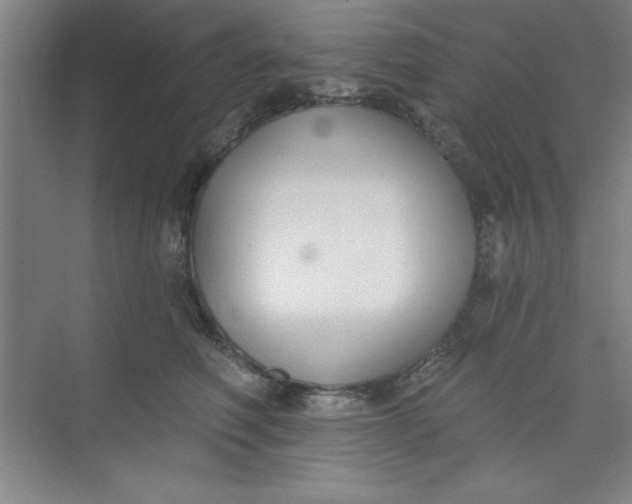 X0000073970614200609051847