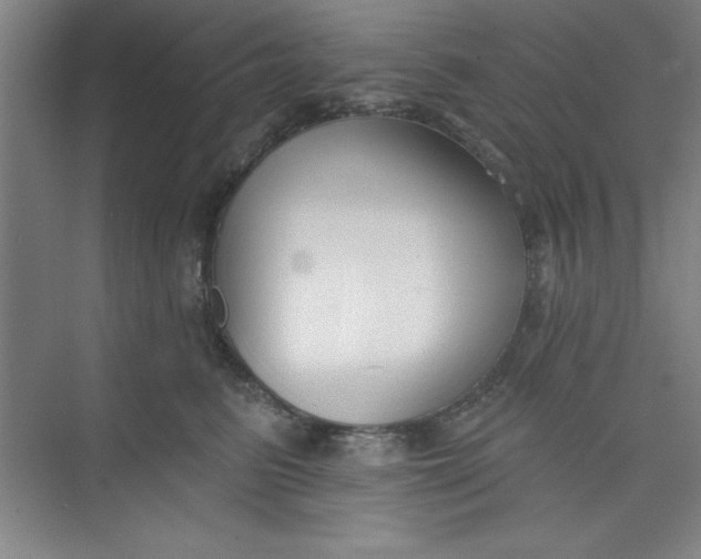 X0000073970615200609051847