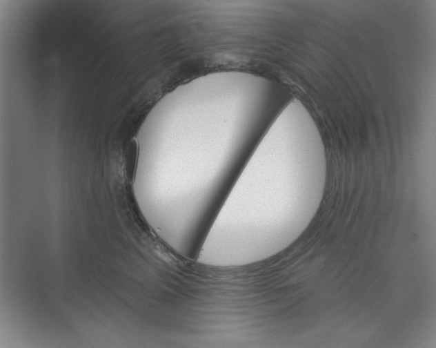 X0000073970617200609051847