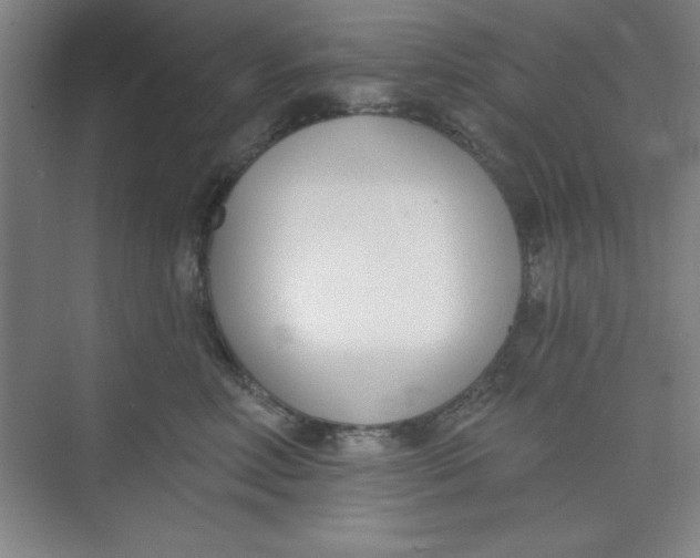 X0000073970618200609051847