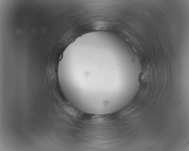 X0000073970620200609051847