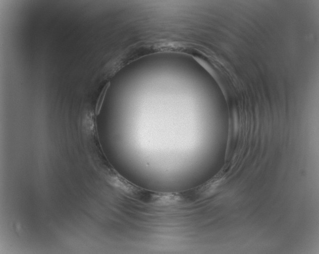 X0000073970621200609051847