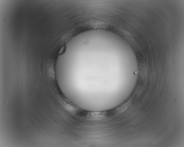 X0000073970622200609051847