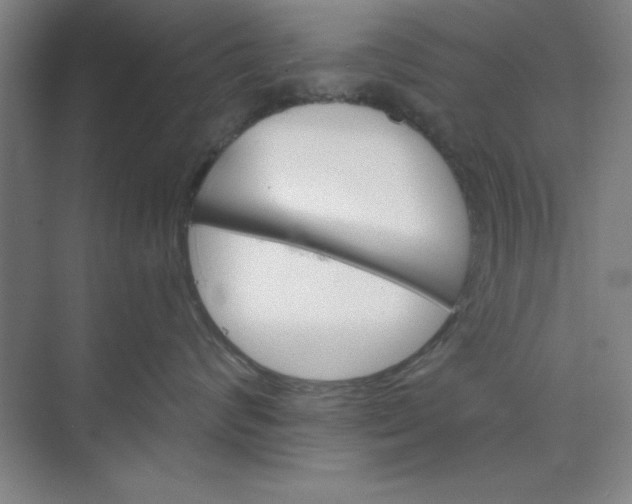 X0000073970624200609051847