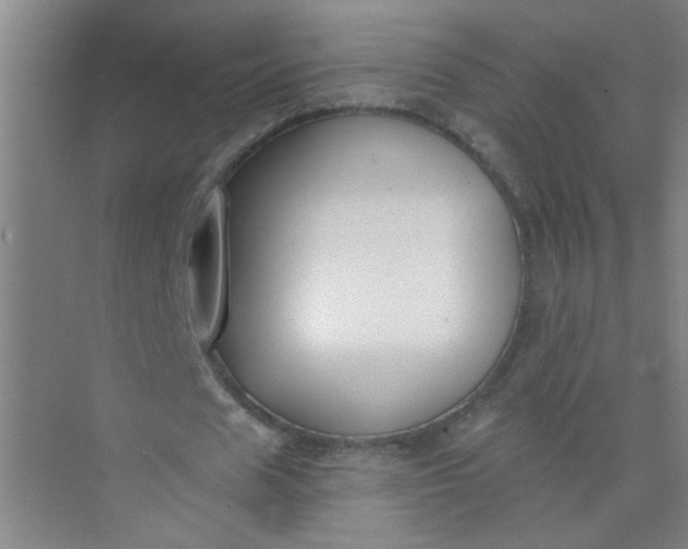 X0000073970625200609051846