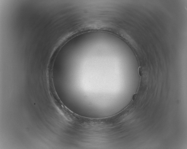 X0000073970626200609051846