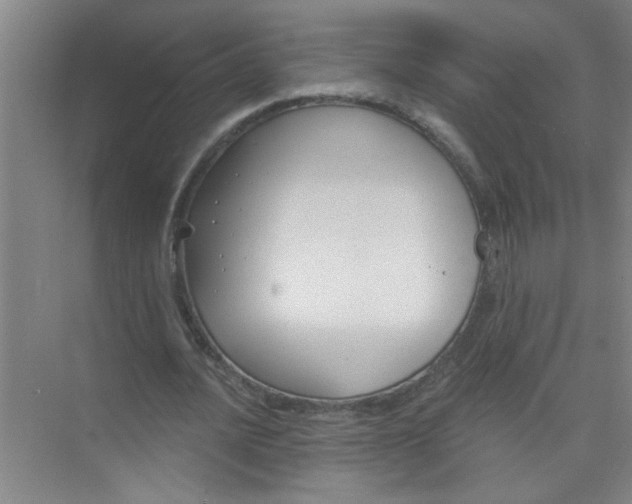 X0000073970628200609051846