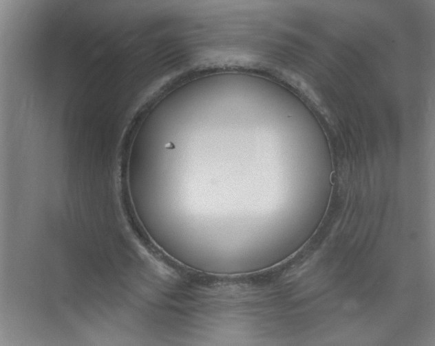 X0000073970629200609051846