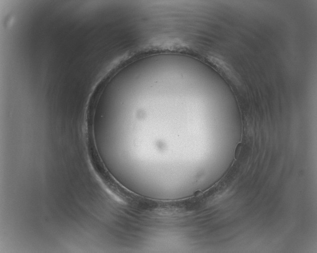 X0000073970630200609051846