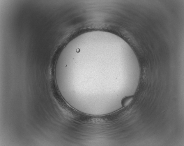 X0000073970636200609051846