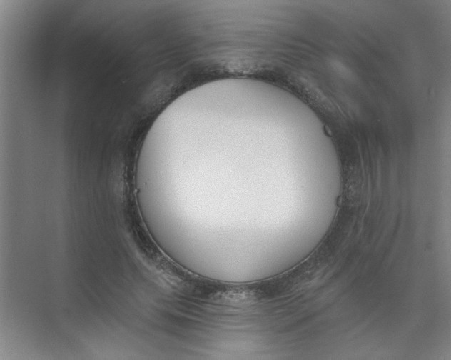 X0000073970639200609051846