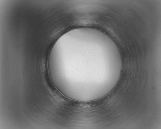 X0000073970640200609051846