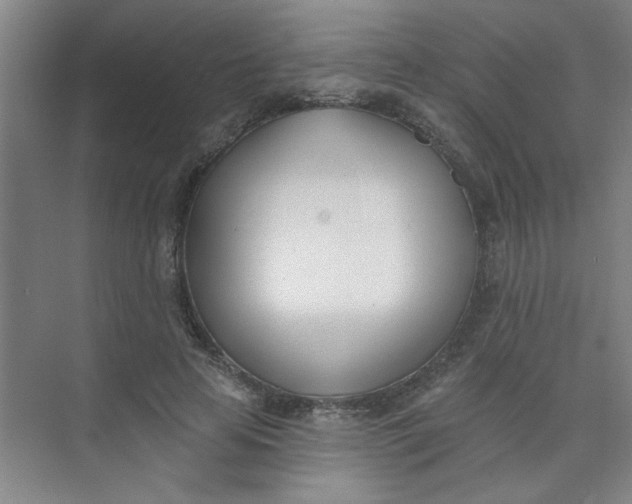 X0000073970641200609051846