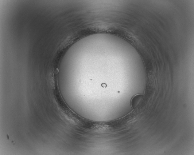 X0000073970642200609051846