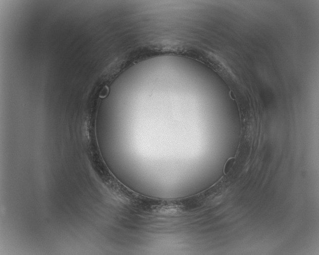 X0000073970643200609051846