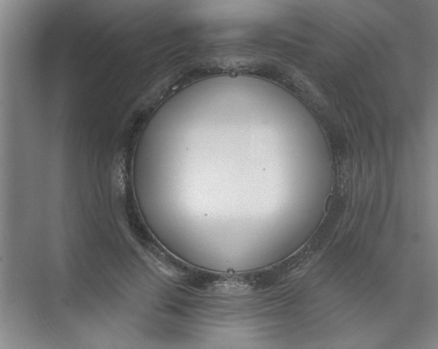 X0000073970644200609051846