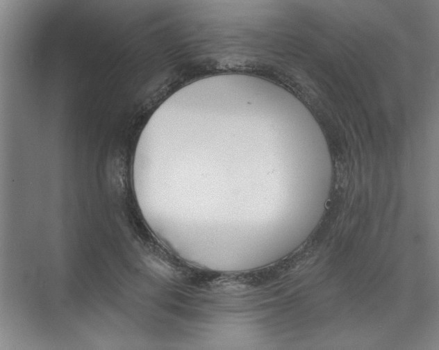 X0000073970648200609051846