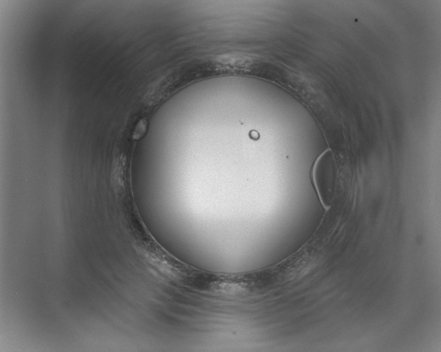 X0000073970649200609051846