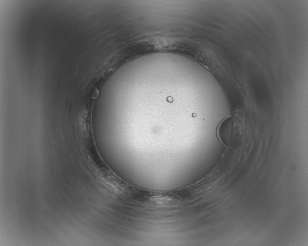 X0000073970650200609051846