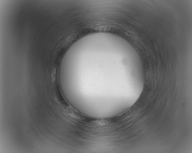 X0000073970652200609051846