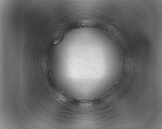 X0000073970653200609051846