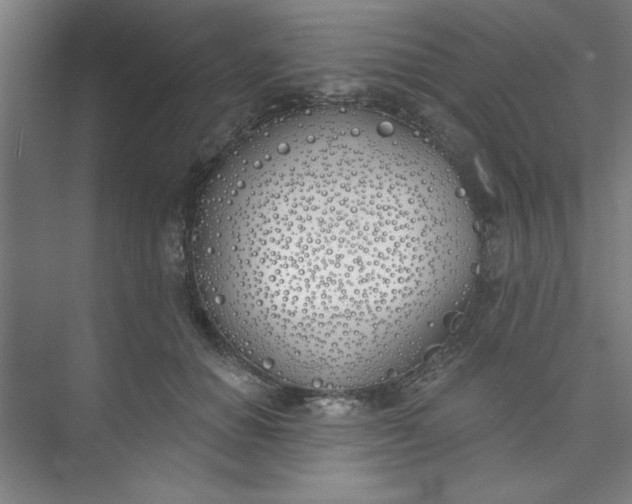 X0000073970654200609051846