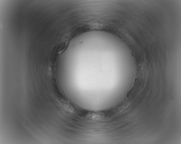 X0000073970655200609051846