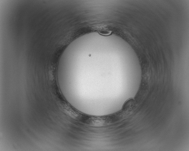 X0000073970658200609051846