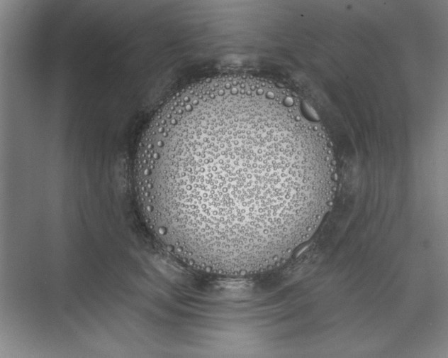 X0000073970659200609051846