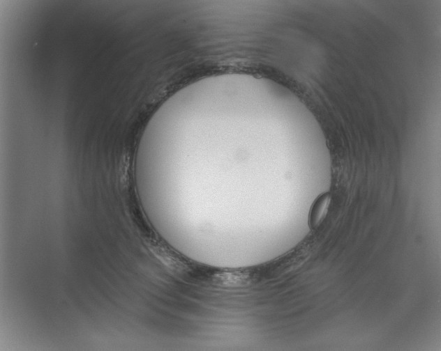 X0000073970660200609051846