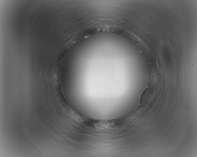 X0000073970661200609051846