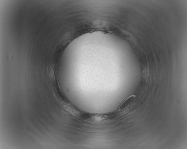 X0000073970662200609051846