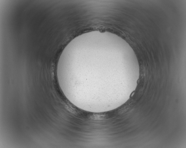 X0000073970664200609051846