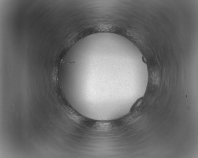 X0000073970665200609051846