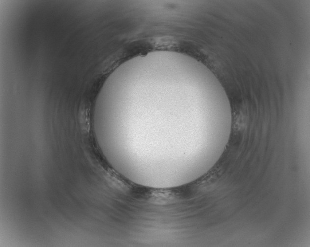 X0000073970666200609051846